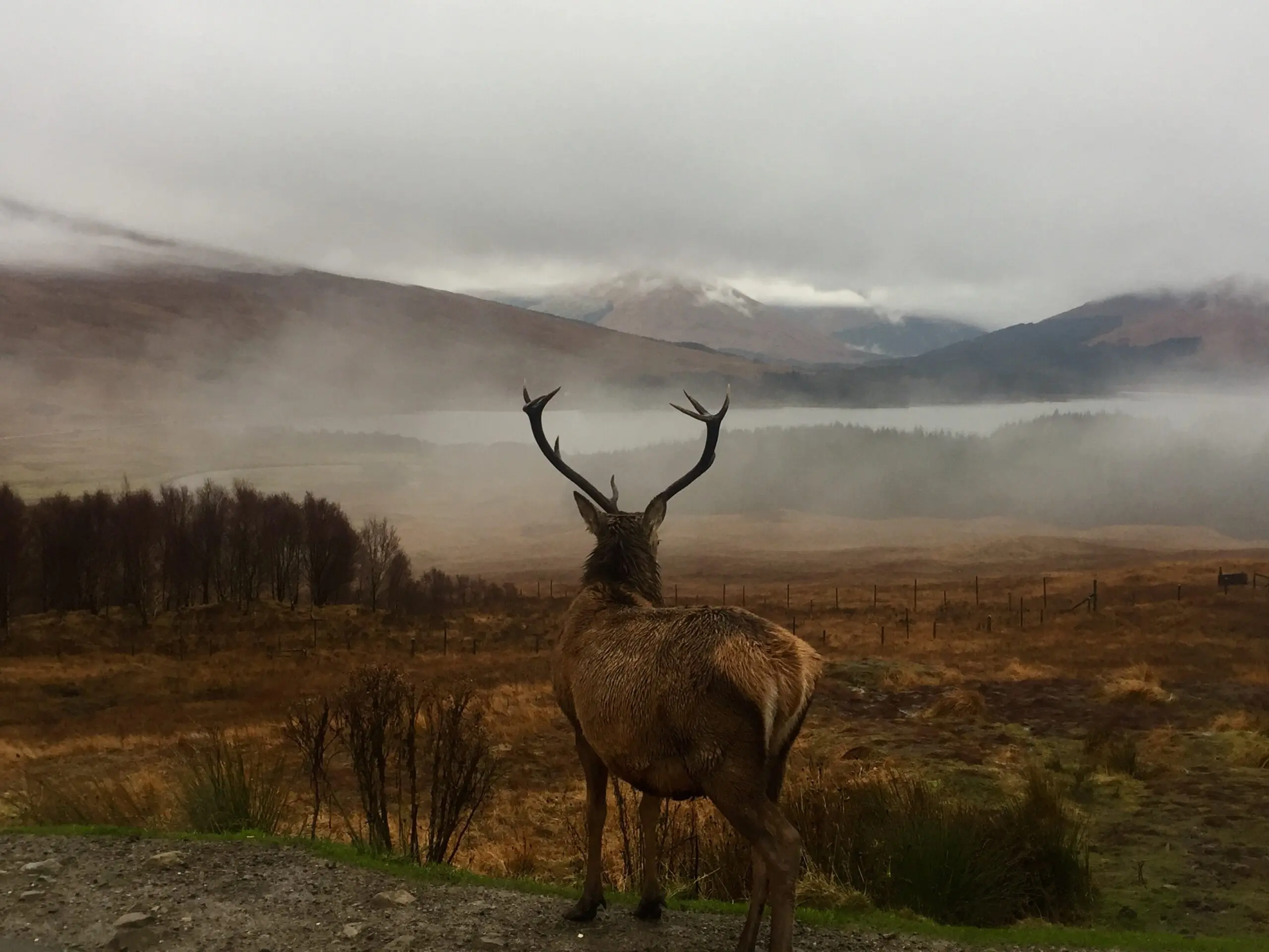West Highland Way