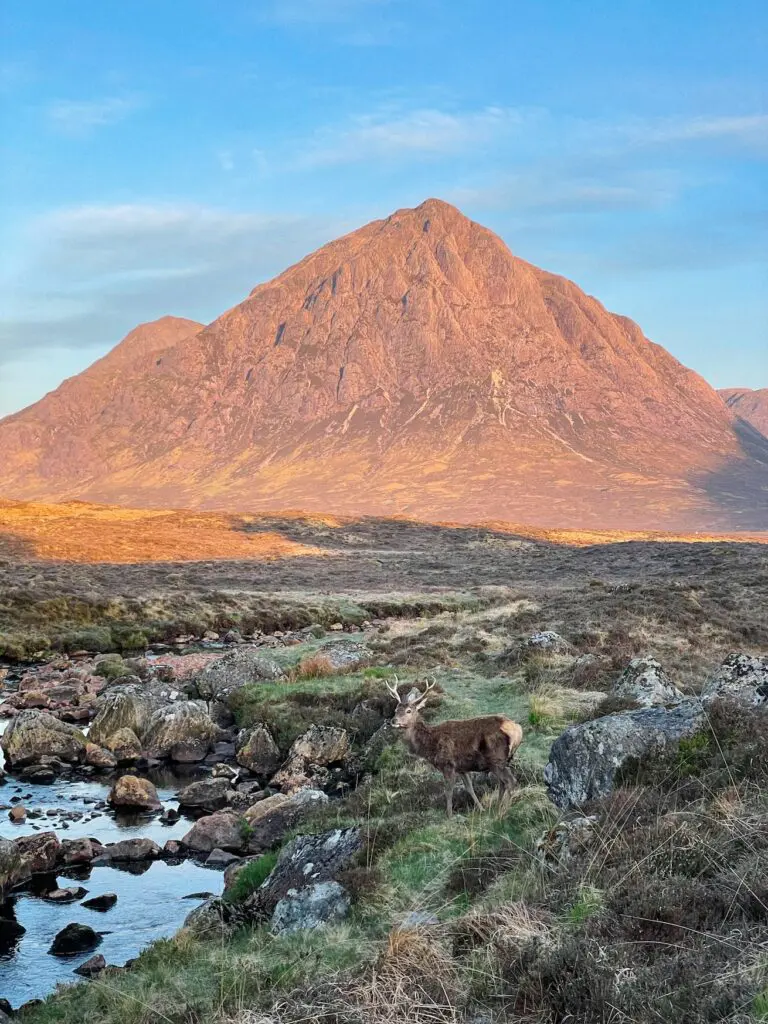 West highland way