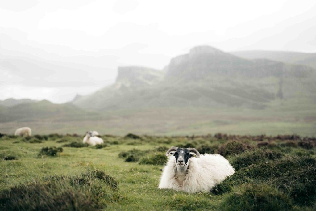 Trek en Ecosse - Trektocht in Schotland